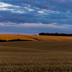 Landscapes